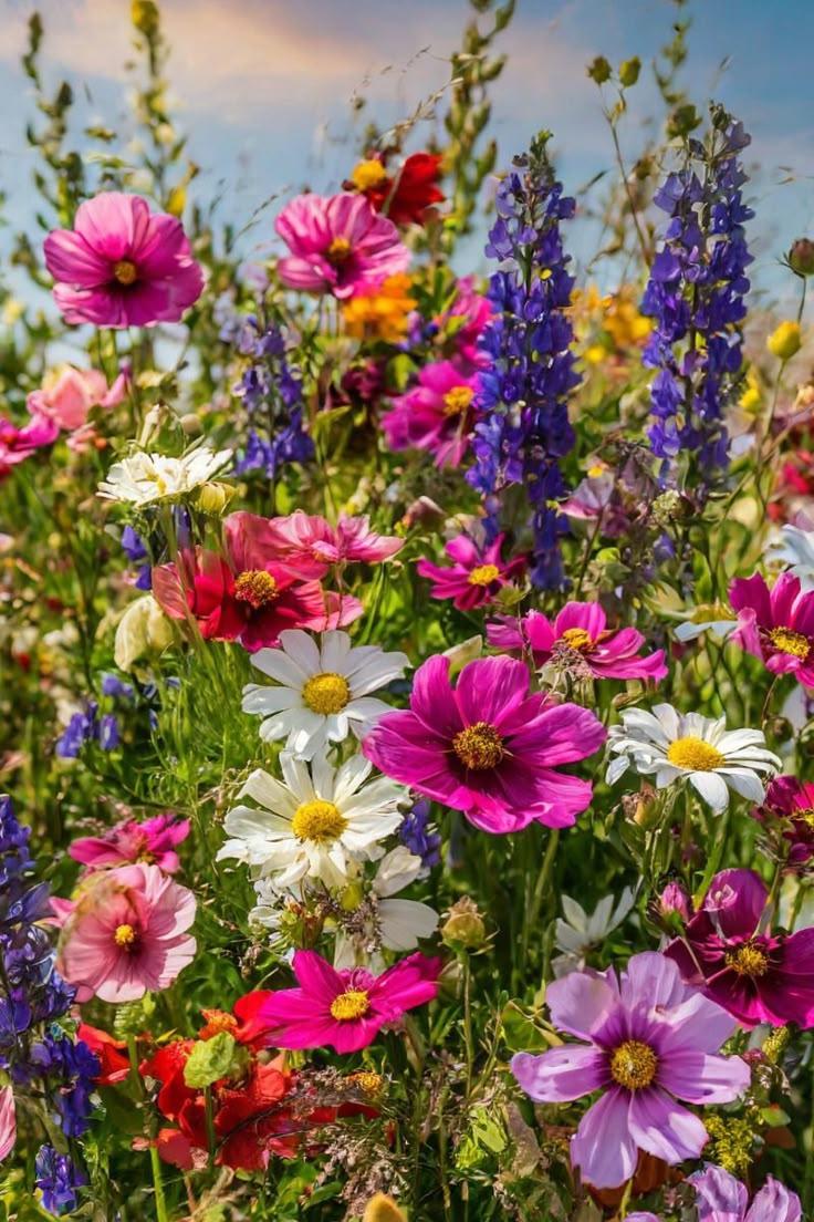 Enchanted Forest Floral Mosaic